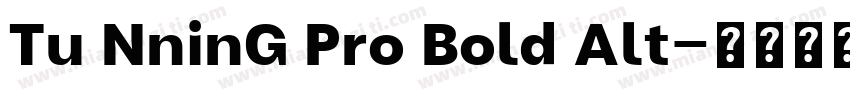 Tu NninG Pro Bold Alt字体转换